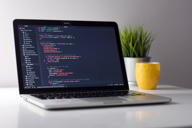 Senior developer reviewing architecture
